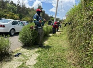 Embellecen accesos de Morelia con jornada de limpieza integral en la avenida Miguel Hidalgo