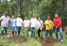 Participa Vicente Gómez en arranque de reforestación 2025 en Tacámbaro