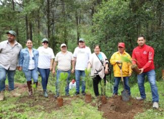 Participa Vicente Gómez en arranque de reforestación 2025 en Tacámbaro