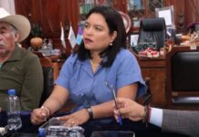 Presentan iniciativa ciudadana para proteger lenguas indígenas en Michoacán; la respalda la diputada Eréndira Isauro