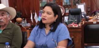 Presentan iniciativa ciudadana para proteger lenguas indígenas en Michoacán; la respalda la diputada Eréndira Isauro