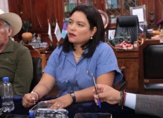 Presentan iniciativa ciudadana para proteger lenguas indígenas en Michoacán; la respalda la diputada Eréndira Isauro