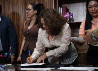 “Estamos construyendo un Congreso que escucha, protege y actúa por las mujeres”: Melba Albavera