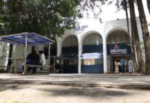 Departamento de Idiomas de la UMSNH en constante crecimiento; lanzará nueva plataforma