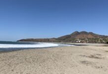 Playas de Michoacán, entre las más contaminadas y no aptas para nadar: COFEPRIS