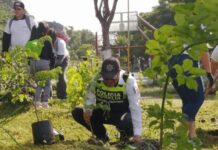Morelia reafirma su compromiso ambiental con jornada de reforestación en el Parque Lineal Bicentenario