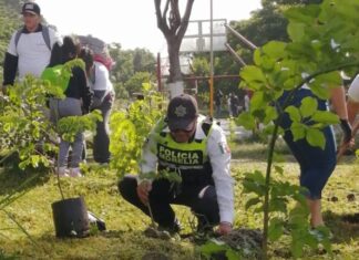 Morelia reafirma su compromiso ambiental con jornada de reforestación en el Parque Lineal Bicentenario