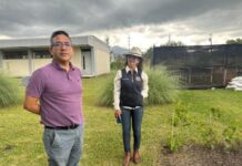 UMSNH pone en marcha proyecto de «Jardín para polinizadores», busca abonar en el cuidado del medio ambiente