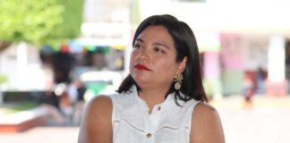Acuerdo de Sheinbaum con Trump dará certidumbre económica a Michoacán: Erendira Isauro Hernández