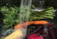 SSM llama a extremar cuidados para evitar enfermedades gastrointestinales por lluvias