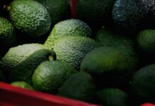 Hay en Michoacán más de 800 huertas sin certificación para exportar
