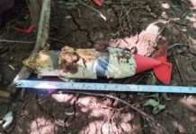 Hierba, minas y campamento abandonado, tres hallazgos en el corazón caliente de Michoacán