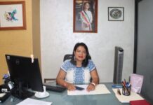 Diputada Eréndira Isauro Hernández respalda la creación de la Comisión Presidencial para la Reforma Electoral