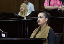 Sandra Arreola condena brutal agresión contra perrito en Michoacán y exige sanciones ejemplares