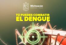 Sigue estas recomendaciones de la SSM para prevenir el dengue en tu hogar