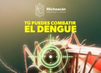 Sigue estas recomendaciones de la SSM para prevenir el dengue en tu hogar