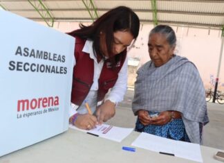 Eréndira Isauro Hernández participa en la conformación de Comités Seccionales de Morena