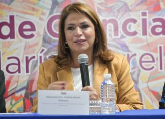 Histórico que más de 460 mil personas superaran la pobreza en Michoacán: Fabiola Alanís