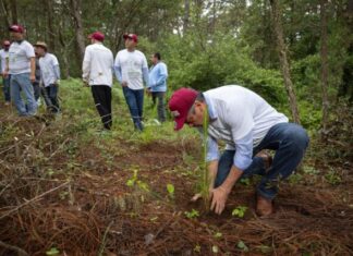 Convoca Raúl Morón a michoacanos a unirse y preservar el medio ambiente