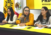 Reforma electoral debe incluir voto electrónico para fomentar participación juvenil: Verónica García