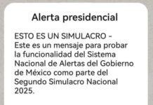 Suena alarma sísmica en teléfonos inteligentes; población se suma a simulacro nacional