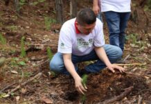 Invita Vicente Gómez a participar en jornada de reforestación