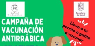 🐾“Morelia tendrá un fin de semana peludo con jornadas de adopción y vacunación