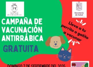 🐾“Morelia tendrá un fin de semana peludo con jornadas de adopción y vacunación