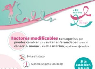 Adoptar estilos de vida saludables reduce el riesgo de cáncer de mama: SSM