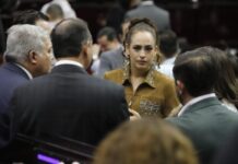 Sandra Arreola condena enérgicamente el envenenamiento de animales en Paracho y exige un alto a la crueldad animal en Michoacán