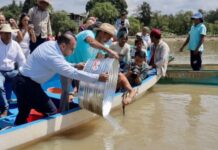 Identificación Geográfica del Pescado Blanco, propiedad del Estado Mexicano; Pátzcuaro alista proyectos de conservación de la especie