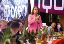 Fabiola Alanís llama a mantener la unidad y los principios fundacionales de Morena