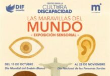 Paola Delgadillo invita a ‘sentir el arte’ con exposición sensorial de las Maravillas del Mundo