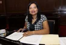 Presenta diputada Eréndira Isauro Hernández iniciativa para sancionar terapias que atenten contra la orientación sexual o identidad de género