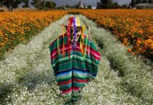 Festival de las Flores de Copándaro prepara un fin de semana lleno de tradición y color: Sectur