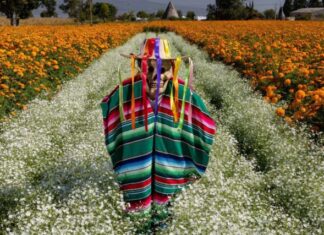 Festival de las Flores de Copándaro prepara un fin de semana lleno de tradición y color: Sectur