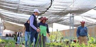 Gobierno de Alfonso Martínez trabaja en el rescate del Bosque Morelos