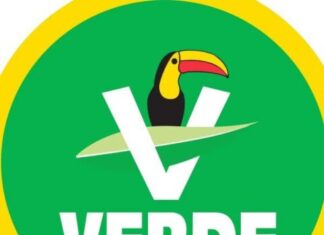 Condena PVEM envenenamiento de perros en Morelia