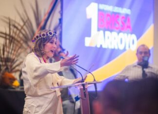 Brissa Arroyo se consolida como una mujer de territorio y diputada ciudadana, destaca activista Cristina Cortés