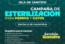 SSM llevará jornada gratuita de esterilización animal a la isla de Janitzio