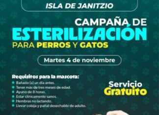 SSM llevará jornada gratuita de esterilización animal a la isla de Janitzio
