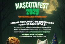 Invitan a la 4ª edición del Mascotafest: convivencia, adopción y causa animal