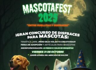 Invitan a la 4ª edición del Mascotafest: convivencia, adopción y causa animal
