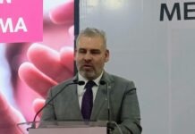Precio de limón se estabilizará a finales de octubre: Bedolla