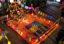 Sigue estas recomendaciones de la SSM durante Noche de Muertos