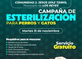 Llega jornada gratuita de esterilización animal a comunidad de autogobierno en Los Reyes: SSM