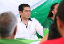 Reconoce PVEM esfuerzo del Plan Michoacán; espera resultados prontos en seguridad