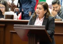 Propone Belinda Iturbide incorporación de figura del Amicus Curiae a Constitución de Michoacán