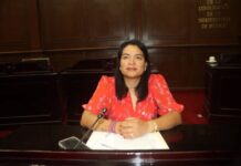 Erendira Isauro propone elevar a rango constitucional los apoyos para niñas, niños y mujeres con cáncer en Michoacán