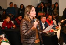 Pide Brissa Arroyo destinar más presupuesto a la prevención de violencia de género